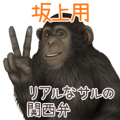 Sakagami 1 Monkey's real myouji