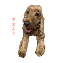 vivi_20190118095758