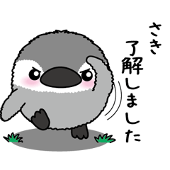 Round penguin 091