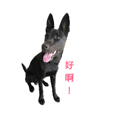 38MICHAELCHEN