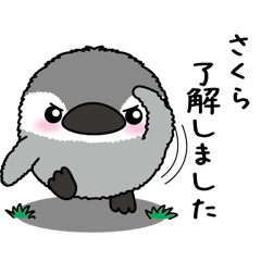 Round penguin 093