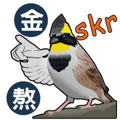 Common birds in Taiwan