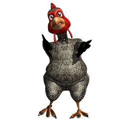 Naughty Chicken [Grey]