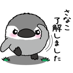 Round penguin 097
