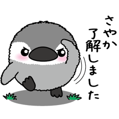 Round penguin 099