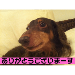 my home town_20190114134154