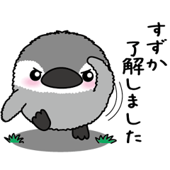 Round penguin 104