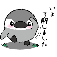 Round penguin 060