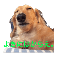 うむ くるしゅうない Line スタンプ Line Store