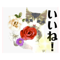 Willful cats and flower