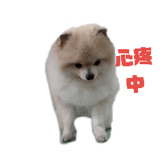 童&米米之生活日常