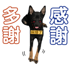 米克斯 樂&茶@