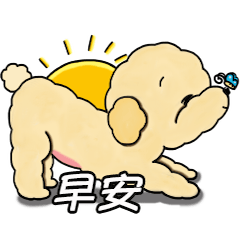 Poodle Sugar's Life (Taiwan)