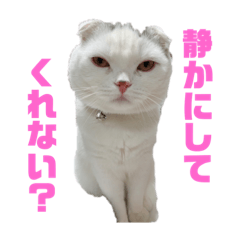 垂れ耳ねこのグリコくん Line スタンプ Line Store