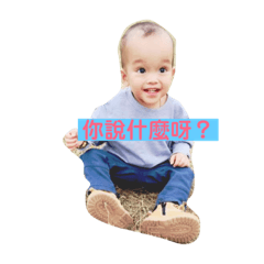 諺諺的奇妙冒險