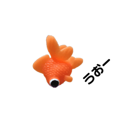 Goldfish8