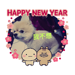 古錐李豆皮