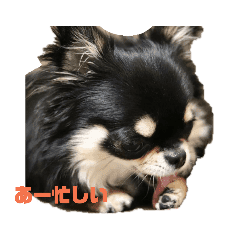 マロ眉のまろ Line スタンプ Line Store マロ眉のまろ Line スタンプ Line Store