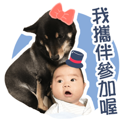 小狗仔和柴犬Kuma