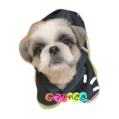 mizuki_20190118132531