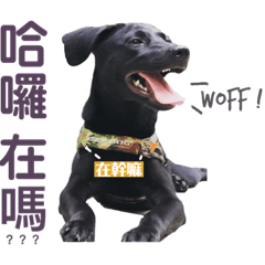 米克斯 樂&茶@3