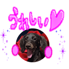 BUBU_20190118164331