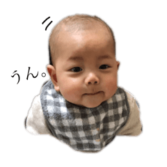 napi_20190118221542
