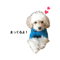 puku stamp in Japanese ver.