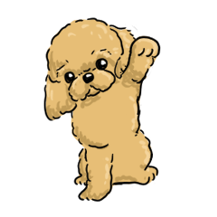 toy poodles Sticker