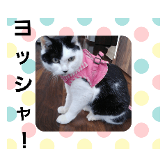 nonta_20190118221203