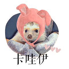 Little Hedgehog : Happy Bao & His Friend