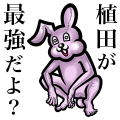 Pink bunny sticker! Ueda Ueta
