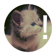 Cat's stanps (English)