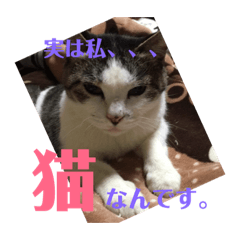 RinRin_20190119182107
