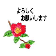 花と丁寧なメッセージ 2