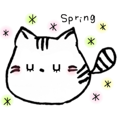 little cat life spring