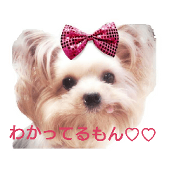 ERIKA_20190116000238