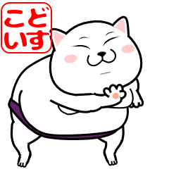 Cat of the Sumo Wrestler