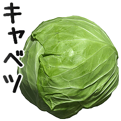 Cabbage 2.