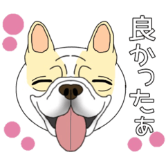 BURUMARU is a French bulldog 2