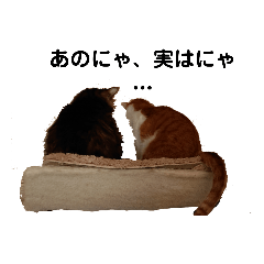 Akiko_20190120164155