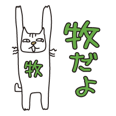 Only for Mr. Maki Banzai Cat