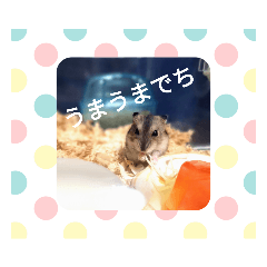 mu_20190109195518