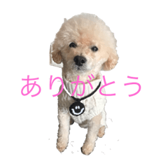 eve_20190121173958