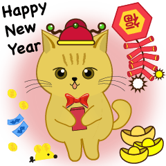 2019 Happy New Year Ruby cat