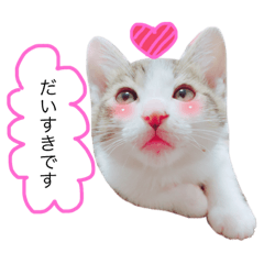 suzu_20190119040753