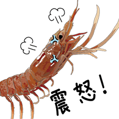 (Animation)Shrimp Chinese