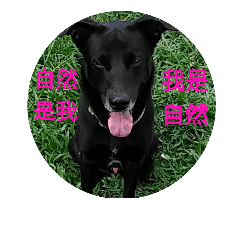 土狗也是很可愛