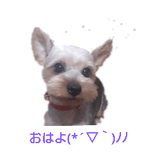 chiharuchin_20190118213609