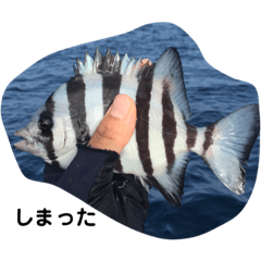 my fishing result 2018.9-12